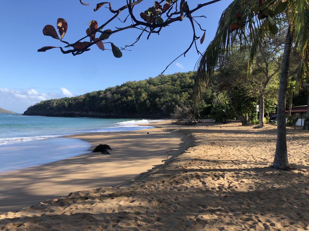 Picture Guadeloupe La Perle Beach 2021-02 91 - Weather La Perle Beach