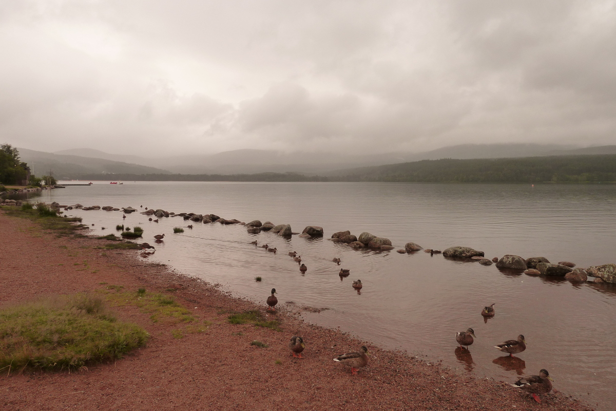 Picture United Kingdom Scotland Forres to Aviemore road 2011-07 20 - Lakes Forres to Aviemore road