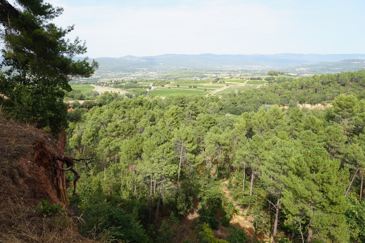 Picture France Roussillon 2017-08 15 - Hotel Roussillon