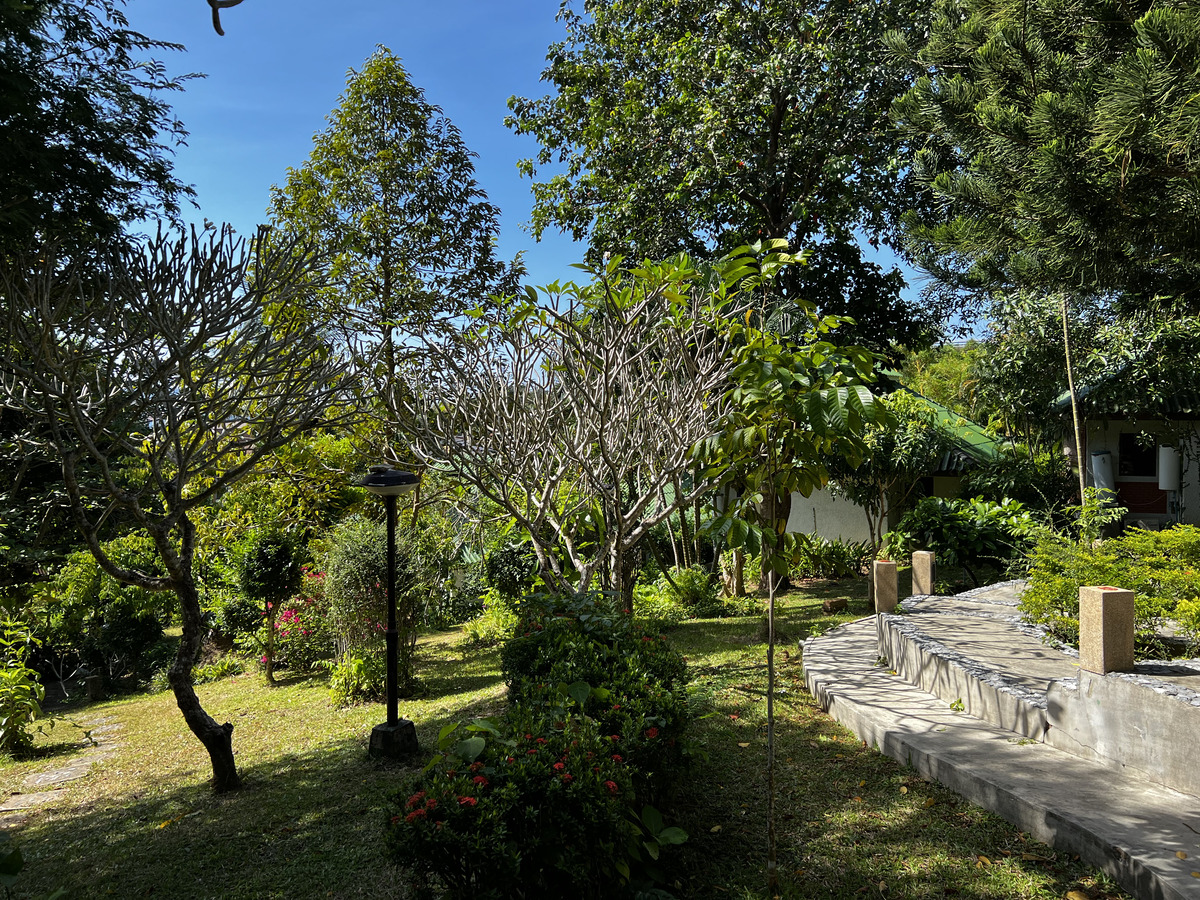 Picture Thailand Phuket Kata Beach Kata Garden Resort 2021-12 9 - Resort Kata Garden Resort