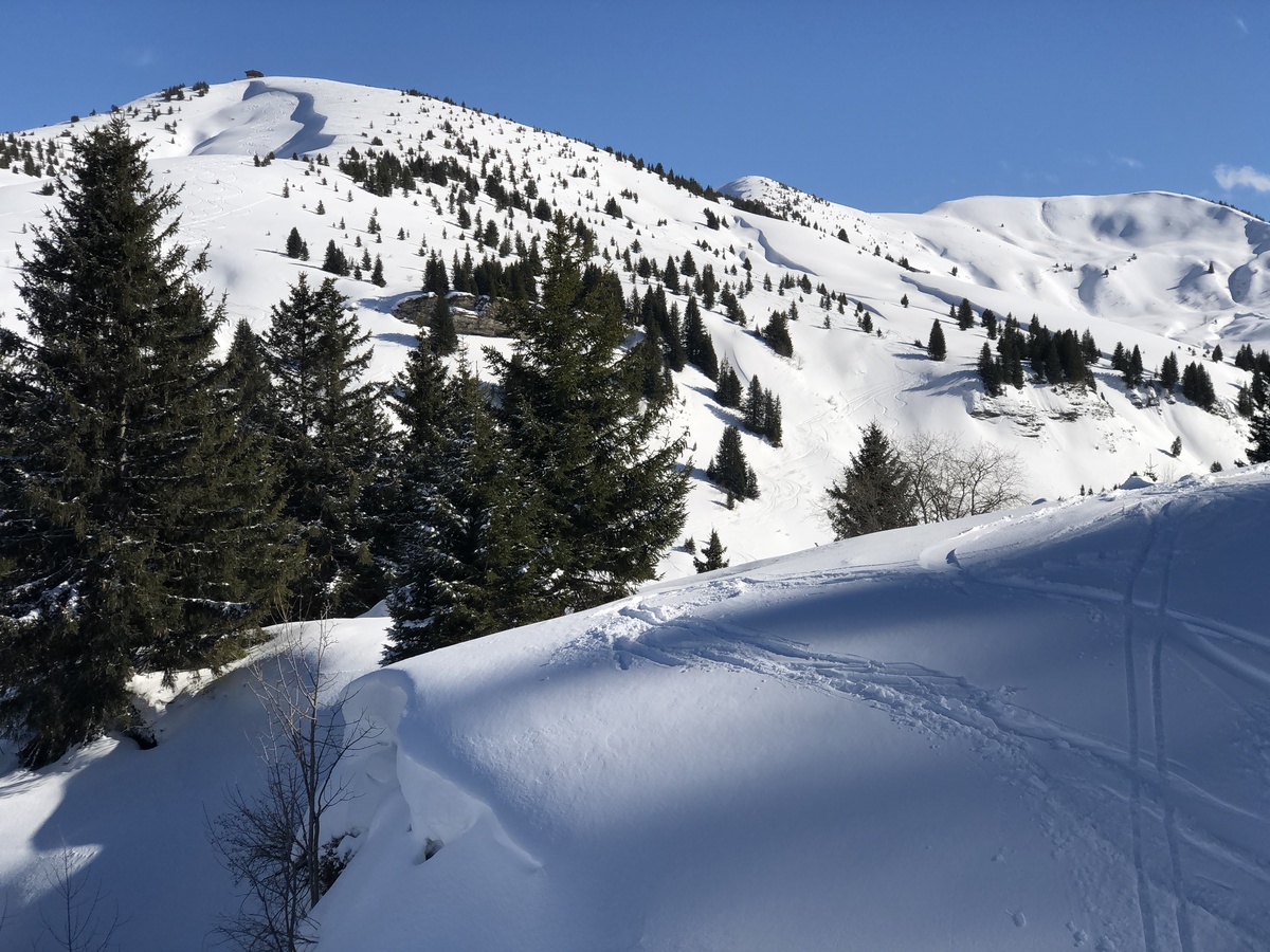 Picture France Megeve 2019-03 31 - Room Megeve