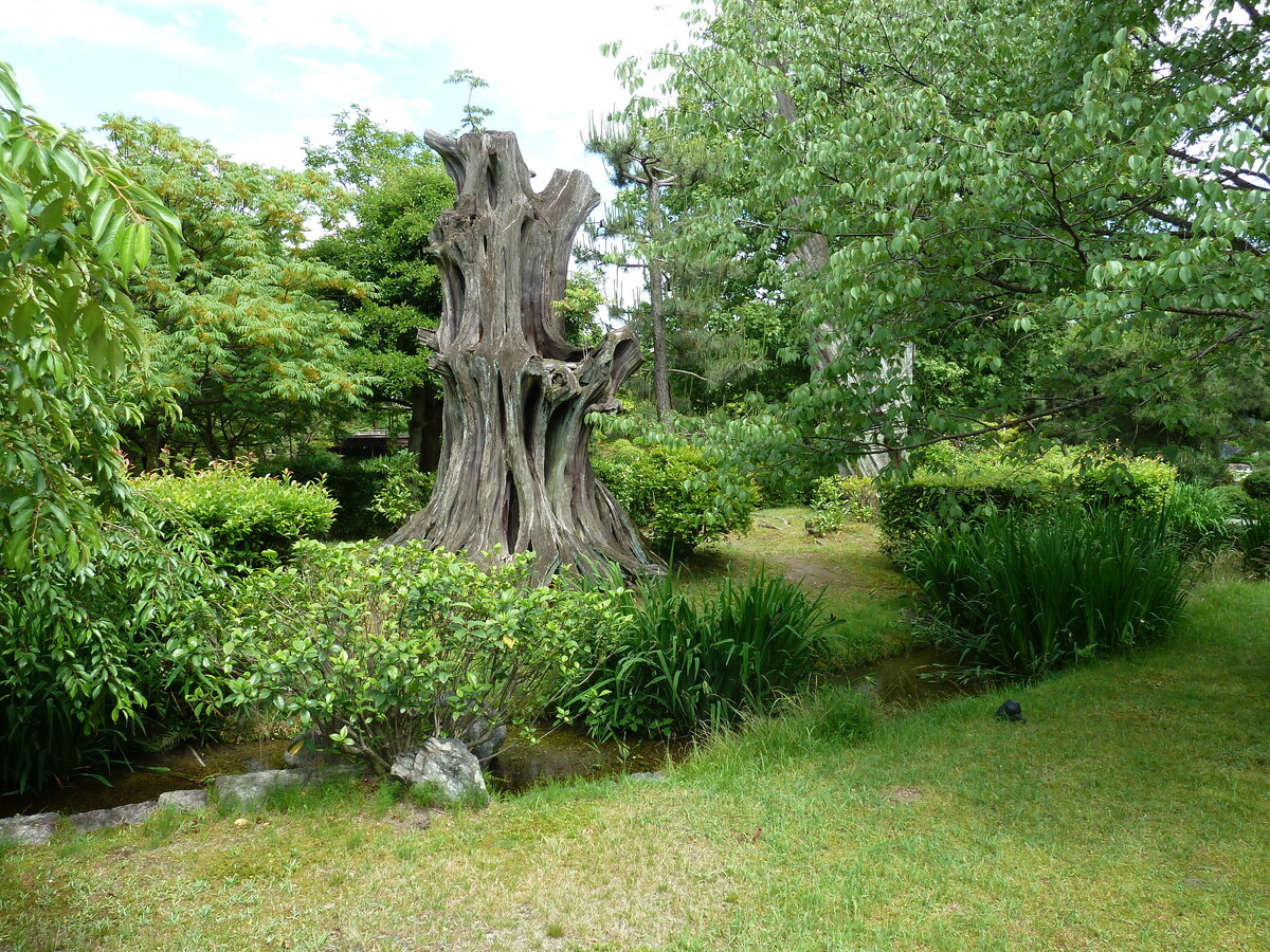 Picture Japan Kyoto Shosei en Garden 2010-06 1 - Waterfalls Shosei en Garden