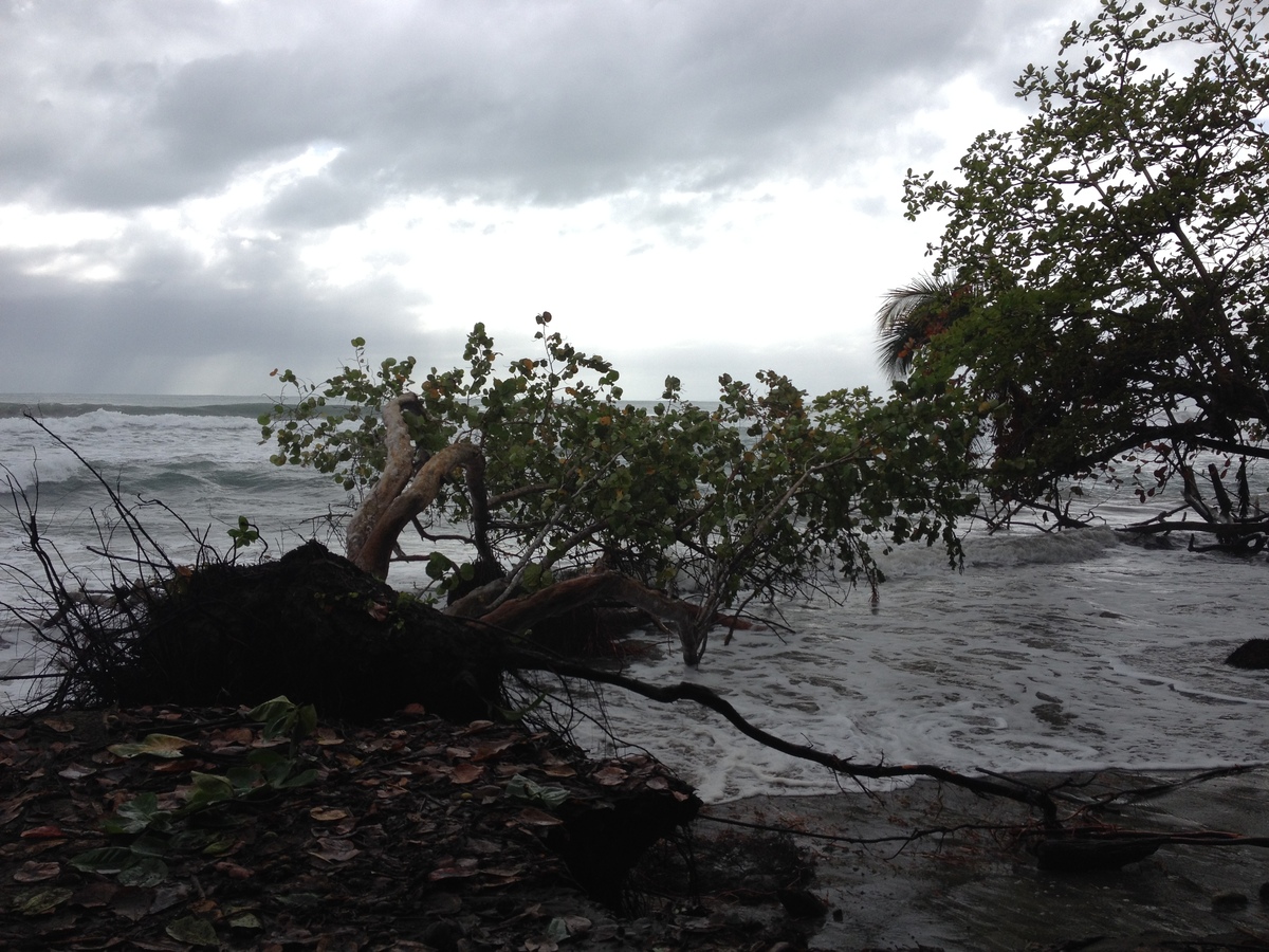 Picture Costa Rica Cahuita 2015-03 172 - City View Cahuita