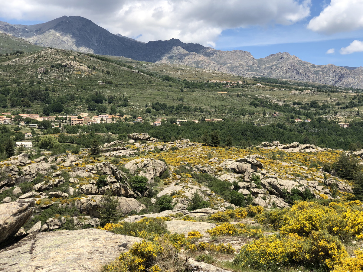 Picture France Corsica Aitone Forest 2021-06 3 - Lakes Aitone Forest