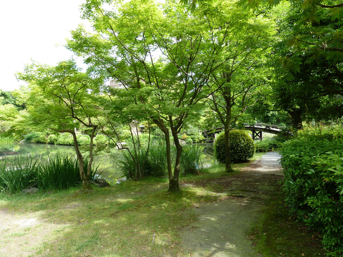 Picture Japan Kyoto Shosei en Garden 2010-06 16 - Accomodation Shosei en Garden