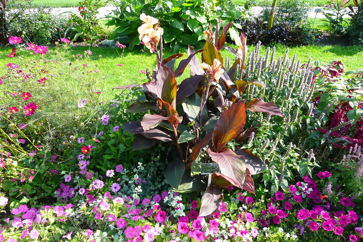 Picture France Paris Jardin des Plantes 2007-08 224 - Rentals Jardin des Plantes