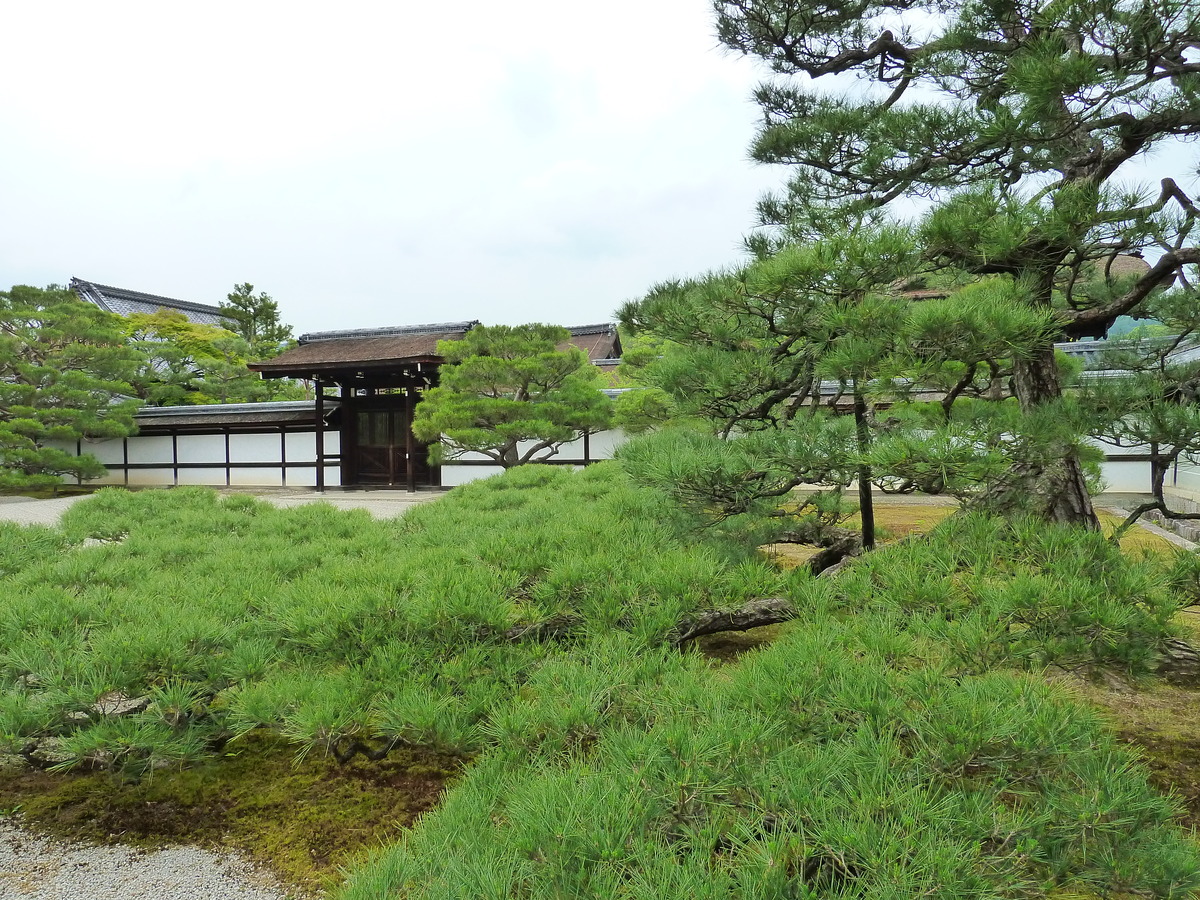 Picture Japan Kyoto Ninna ji imperial Residence 2010-06 75 - Rooms Ninna ji imperial Residence