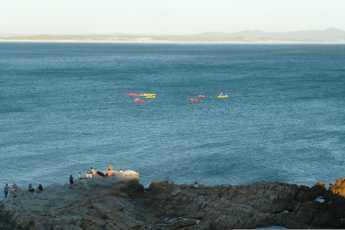 Picture South Africa Harmanus 2008-09 179 - Winter Harmanus