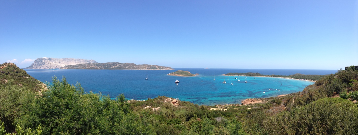 Picture Italy Sardinia Capo Coda Cavallo 2015-06 92 - Cost Capo Coda Cavallo