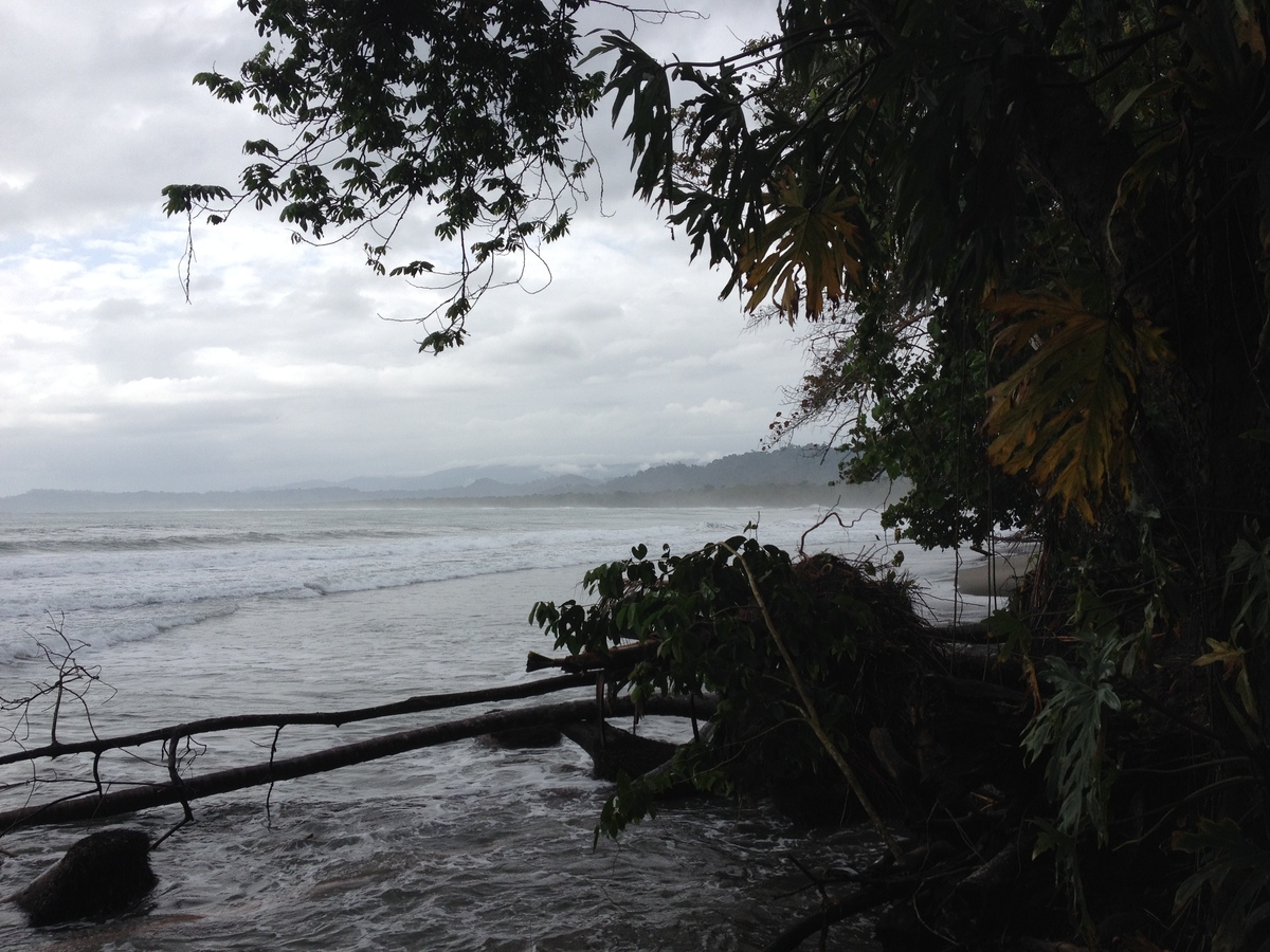 Picture Costa Rica Cahuita 2015-03 161 - Transport Cahuita