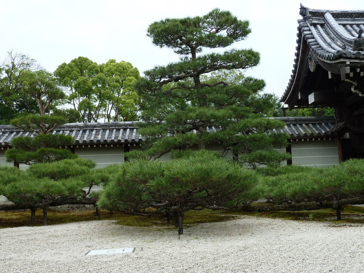 Picture Japan Kyoto Ninna ji imperial Residence 2010-06 22 - Saving Ninna ji imperial Residence