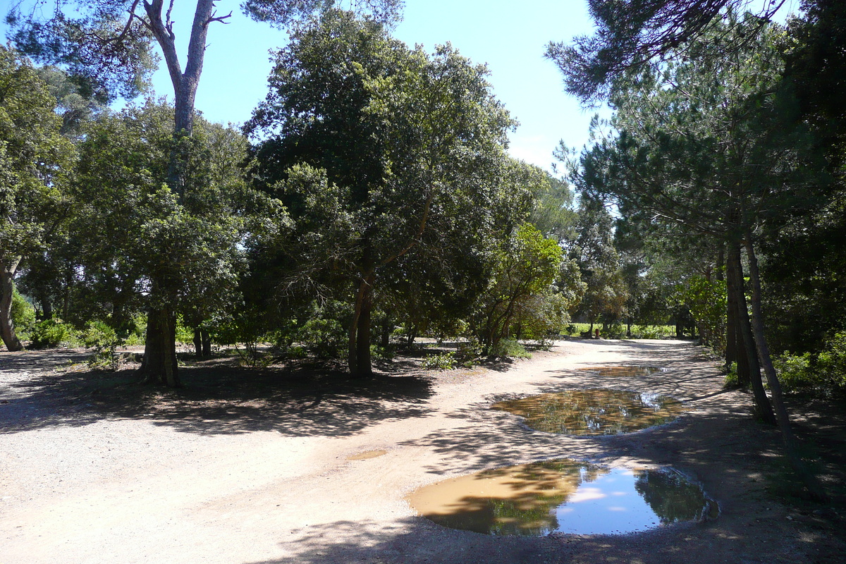 Picture France Porquerolles Island Plaine de la courtade 2008-05 9 - Room Plaine de la courtade