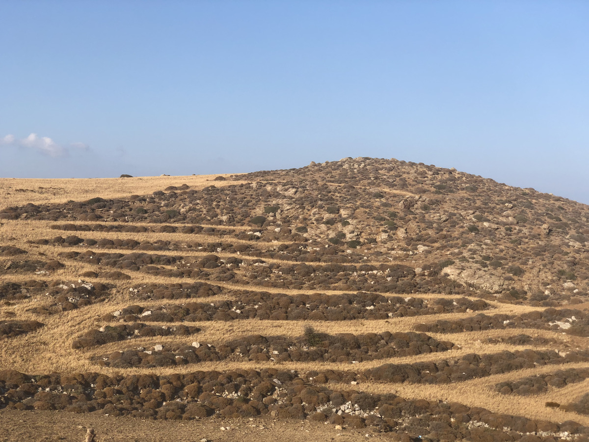 Picture Greece Astypalea 2018-07 56 - Land Astypalea