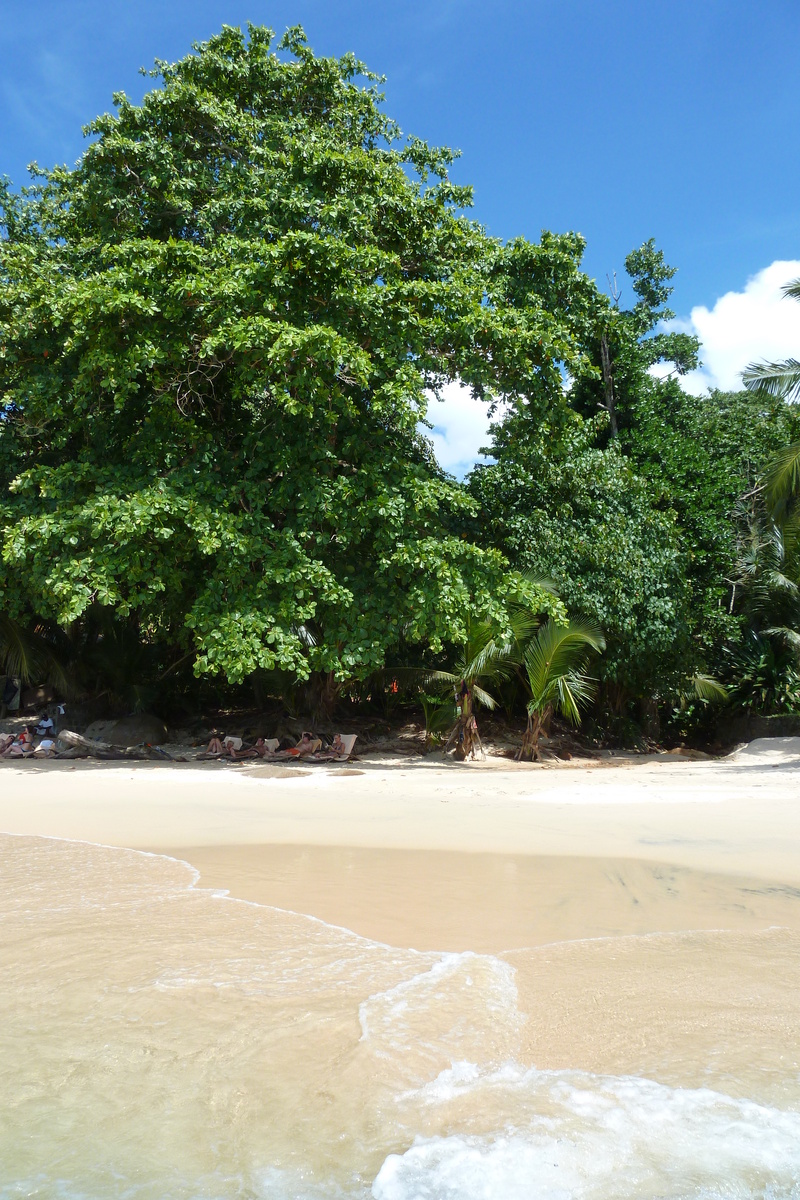 Picture Seychelles Mahe 2011-10 190 - Accomodation Mahe