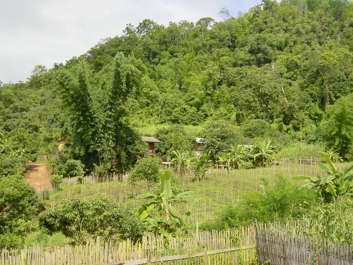 Picture Thailand Mae Hong Son 2003-07 71 - Summer Mae Hong Son