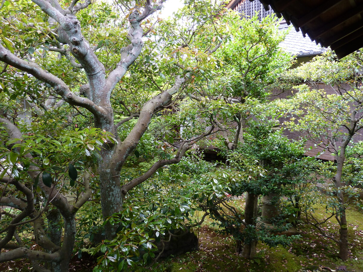 Picture Japan Kyoto Ninna ji imperial Residence 2010-06 78 - Rooms Ninna ji imperial Residence