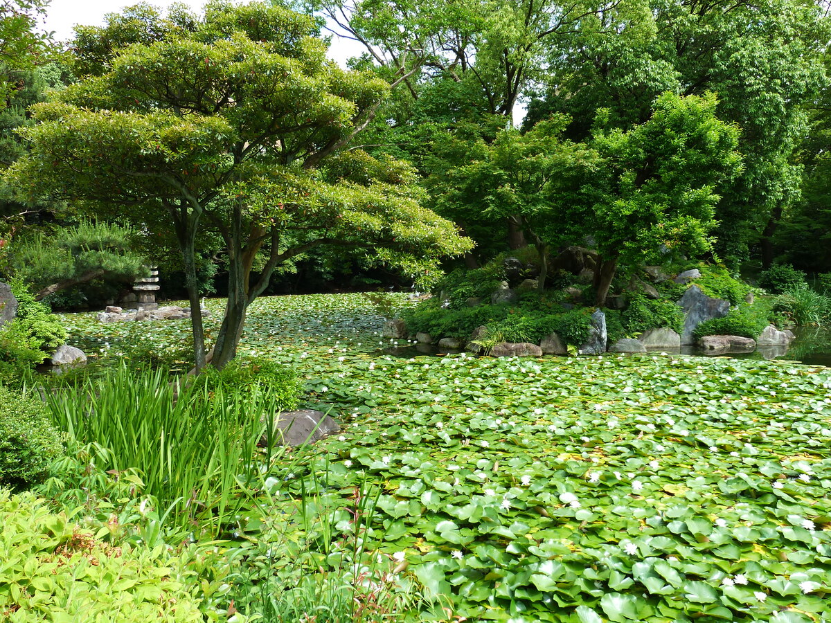 Picture Japan Kyoto Shosei en Garden 2010-06 59 - Cheap Room Shosei en Garden