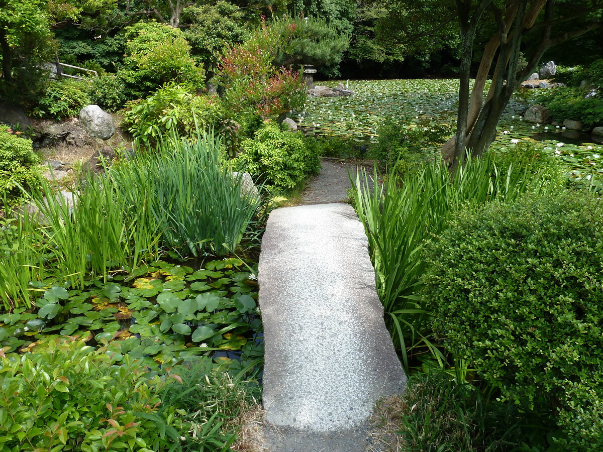 Picture Japan Kyoto Shosei en Garden 2010-06 65 - Hotel Pools Shosei en Garden