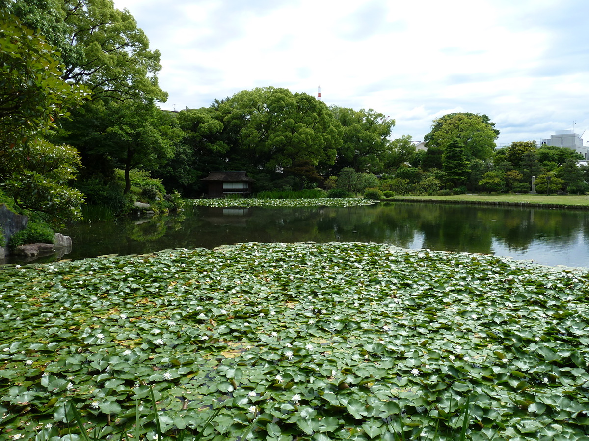 Picture Japan Kyoto Shosei en Garden 2010-06 71 - Rental Shosei en Garden