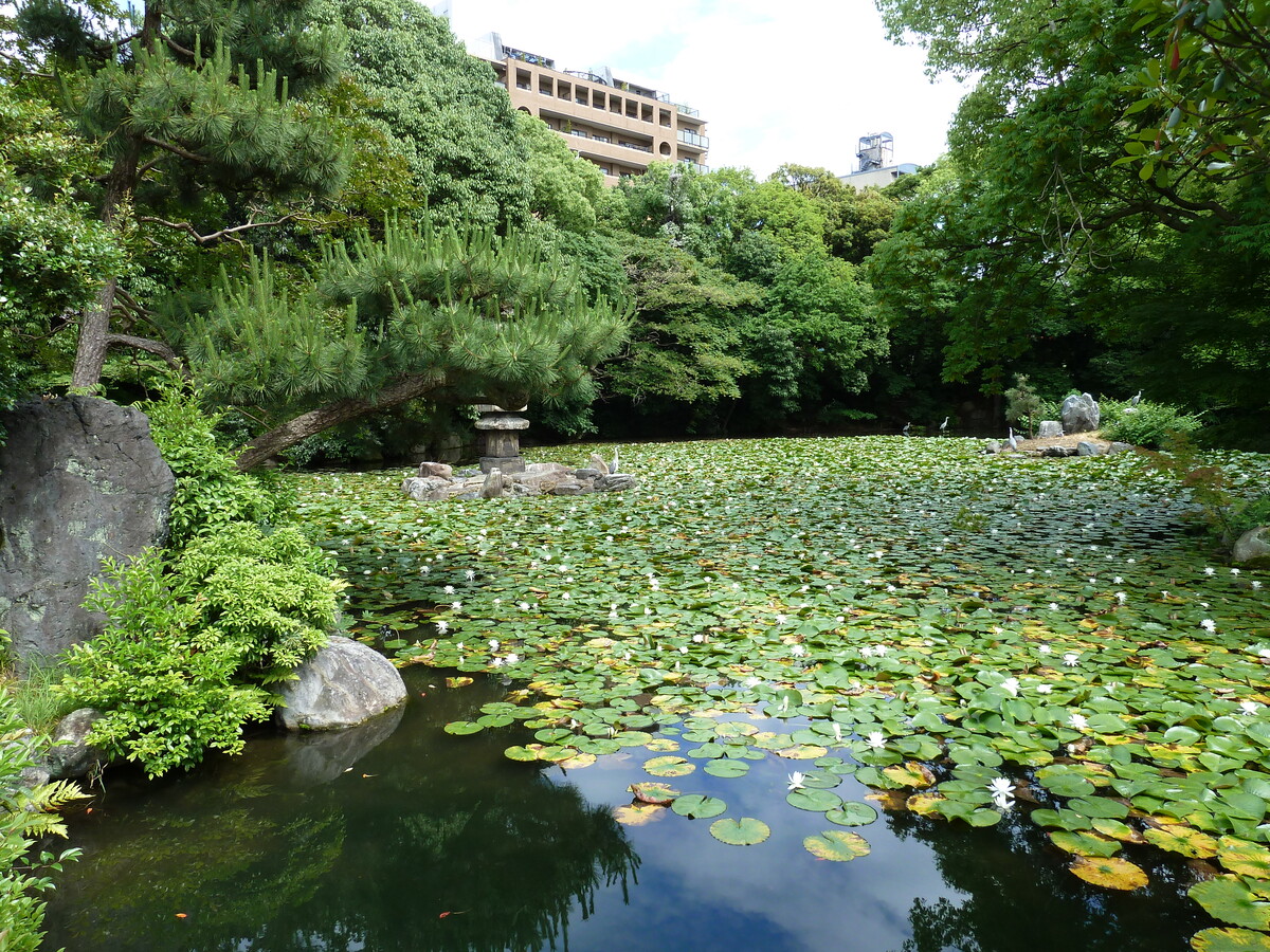 Picture Japan Kyoto Shosei en Garden 2010-06 68 - Waterfall Shosei en Garden