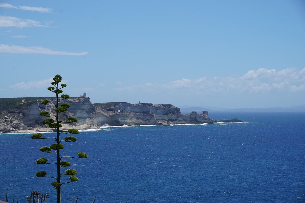 Picture France Corsica Bonifacio 2017-07 45 - Monument Bonifacio