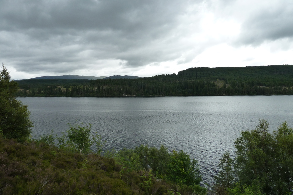 Picture United Kingdom Scotland Aviemore to Loch Laggan road 2011-07 2 - Spring Aviemore to Loch Laggan road