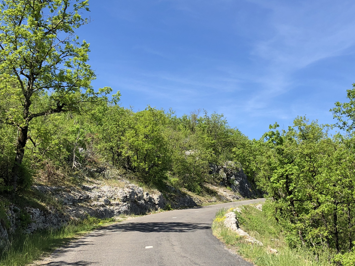 Picture France Floirac 2018-04 35 - Spring Floirac