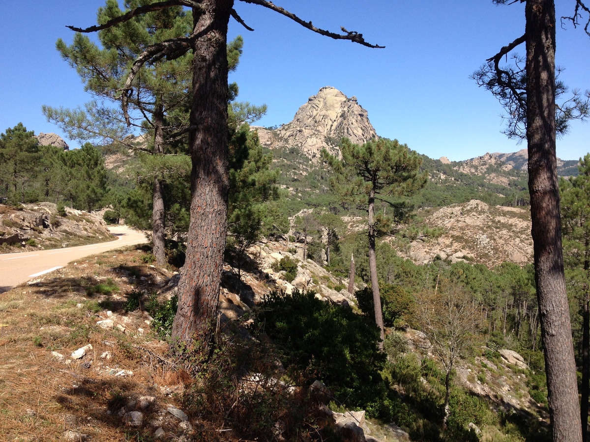 Picture France Corsica L'ospedale Forest 2012-09 60 - Cost L'ospedale Forest