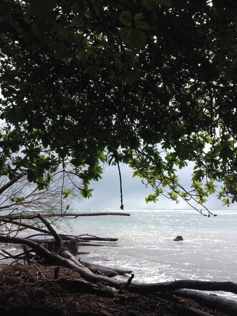 Picture Costa Rica Cahuita 2015-03 104 - Rain Season Cahuita