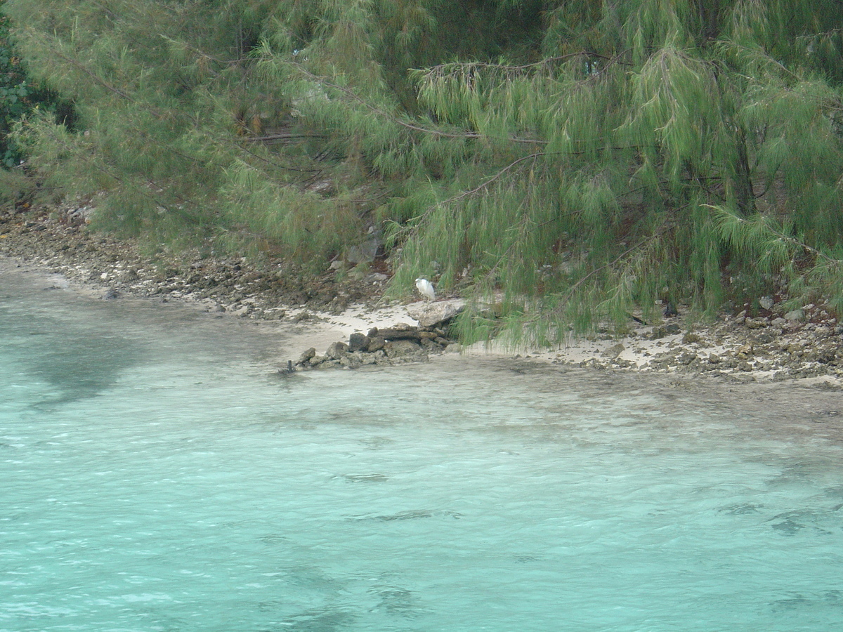 Picture Polynesia Meridien Bora Bora Hotel 2006-04 44 - Rain Season Meridien Bora Bora Hotel