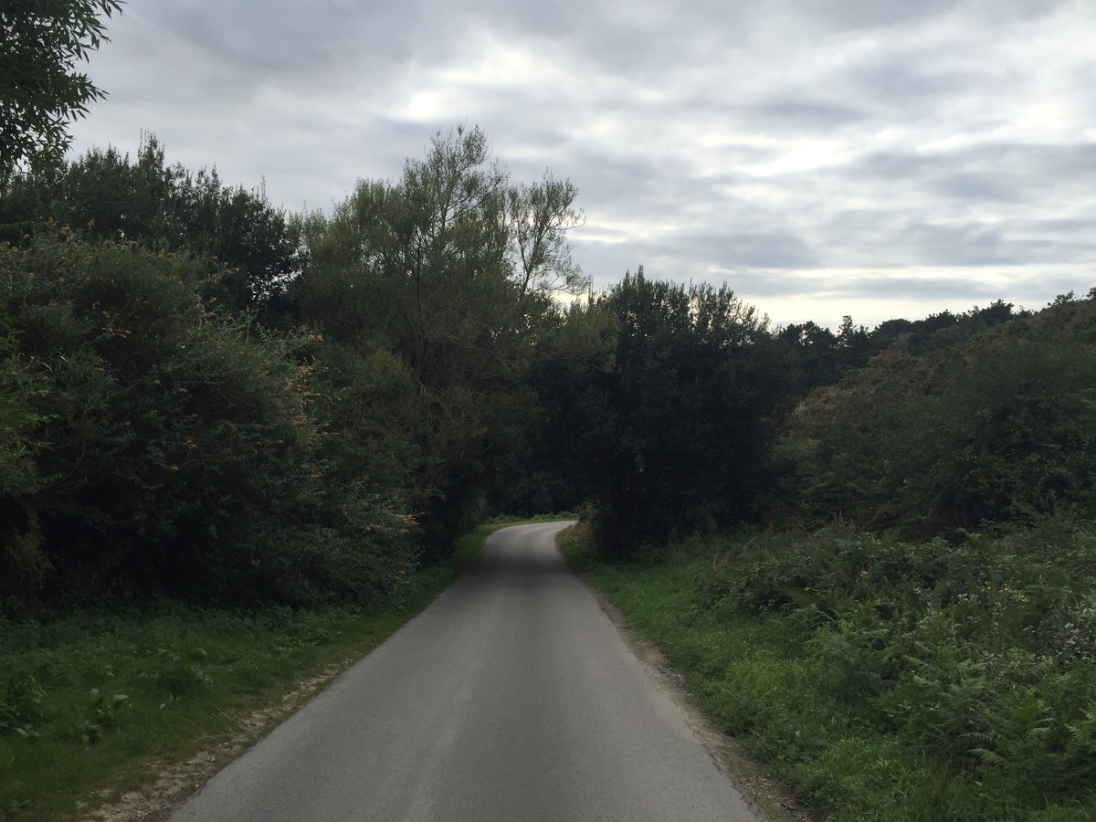 Picture France Belle-Ile 2016-08 135 - Rain Season Belle-Ile