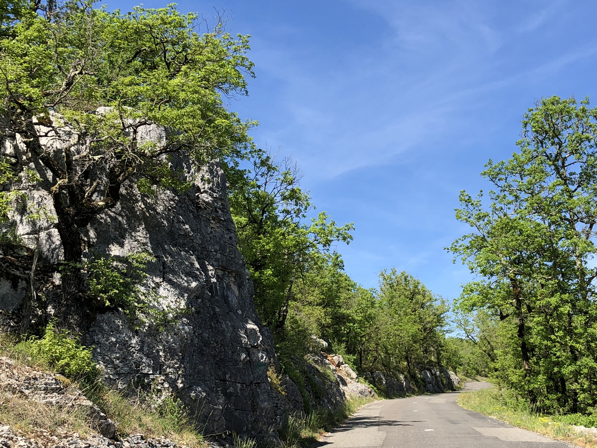 Picture France Floirac 2018-04 68 - Lands Floirac