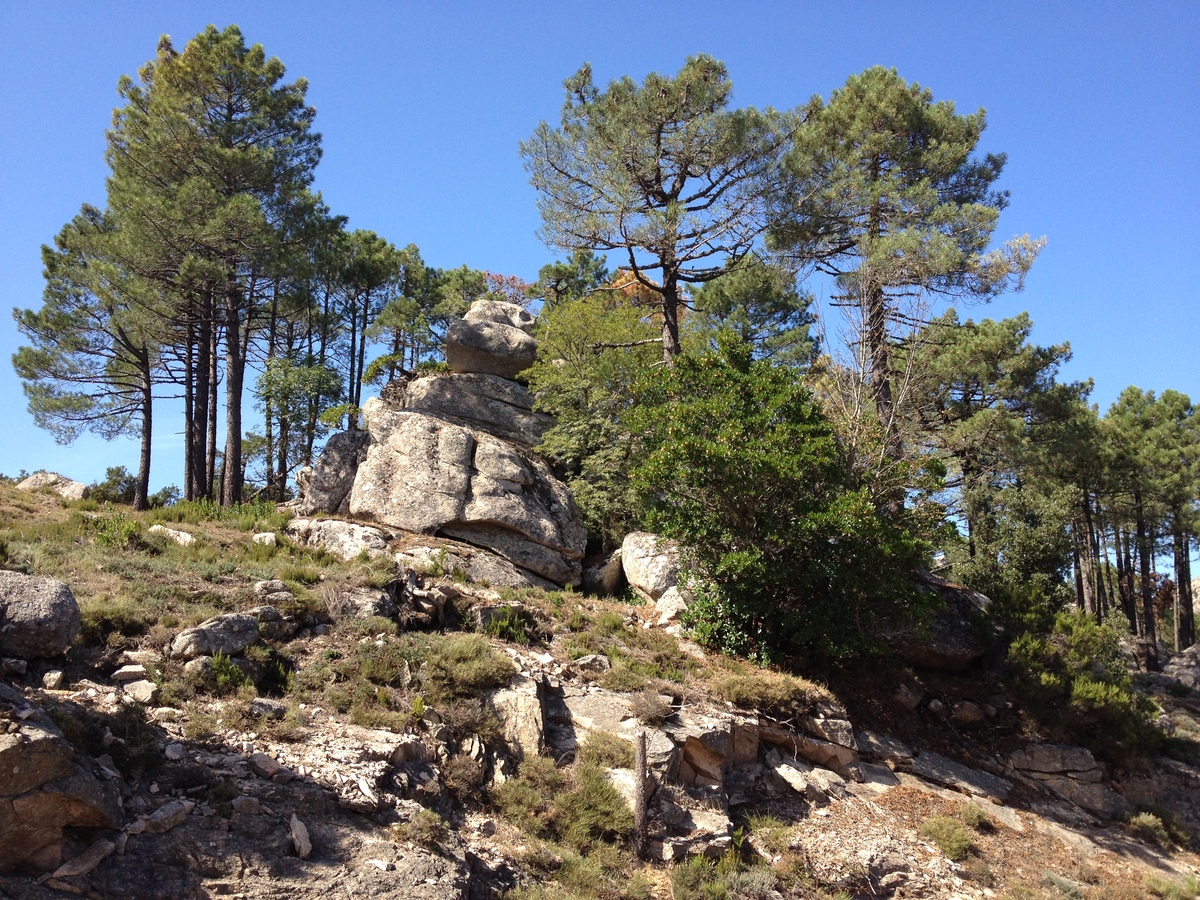 Picture France Corsica L'ospedale Forest 2012-09 11 - Monuments L'ospedale Forest