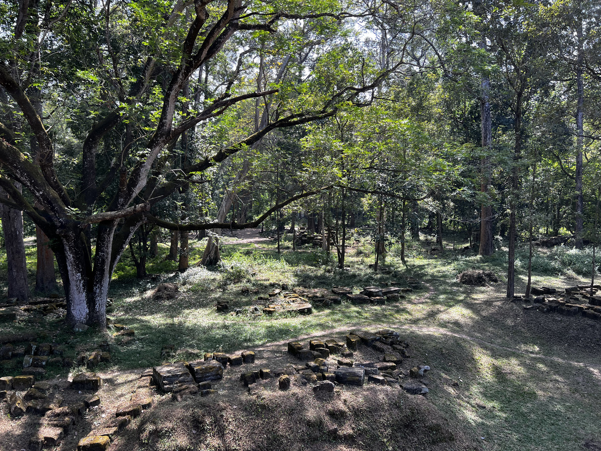 Picture Cambodia Siem Reap Baphuon 2023-01 63 - Lakes Baphuon