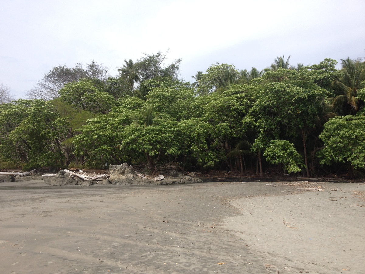 Picture Costa Rica Montezuma 2015-03 205 - Cost Montezuma