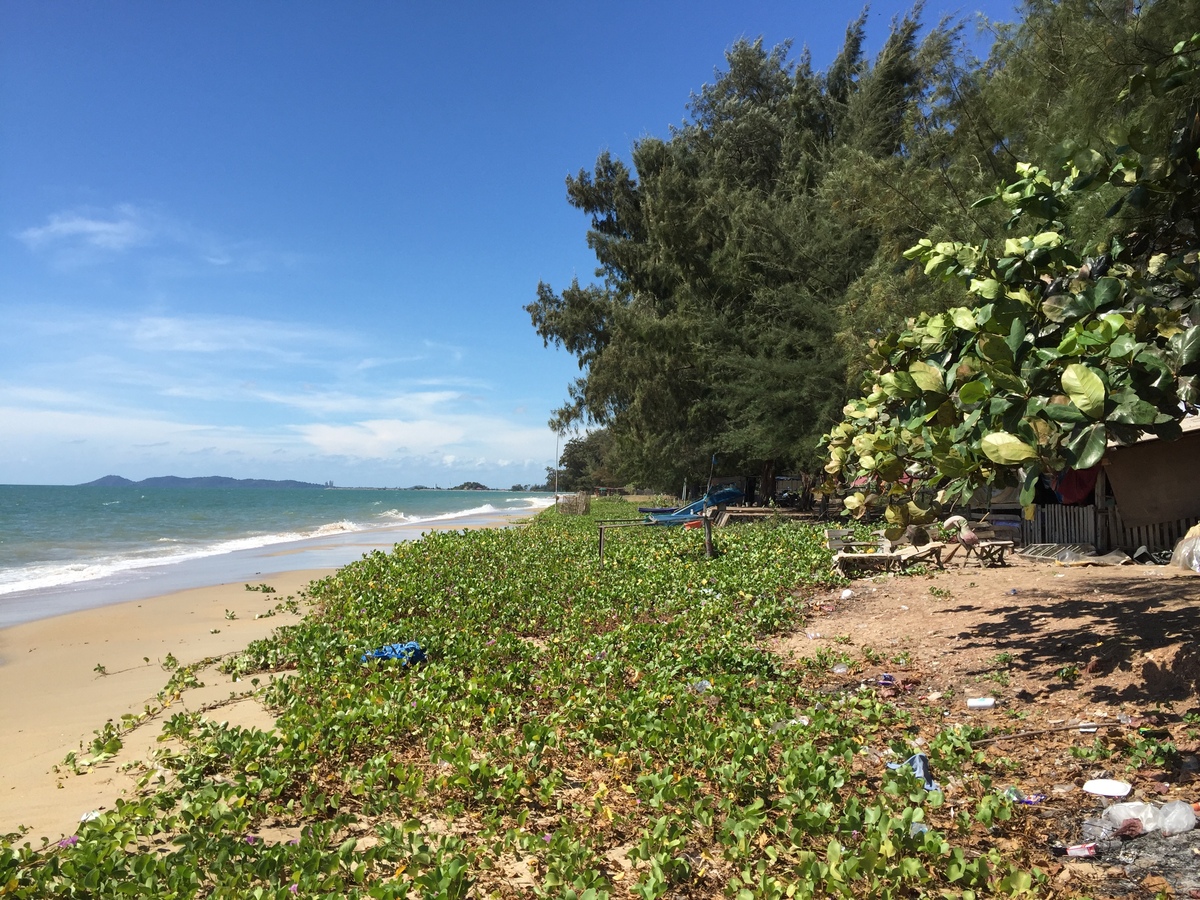 Picture Thailand Marriott Rayong 2016-01 106 - Lake Marriott Rayong