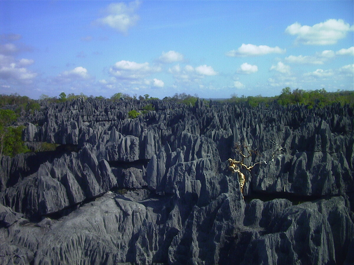 Picture Madagascar Tsingy 1999-10 23 - Hotel Tsingy