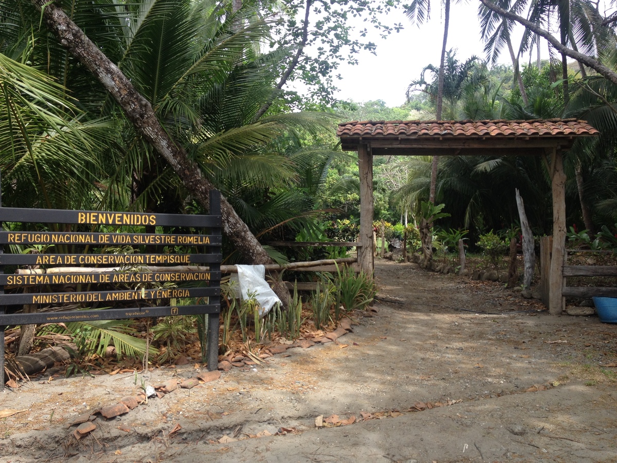 Picture Costa Rica Montezuma 2015-03 165 - Monuments Montezuma