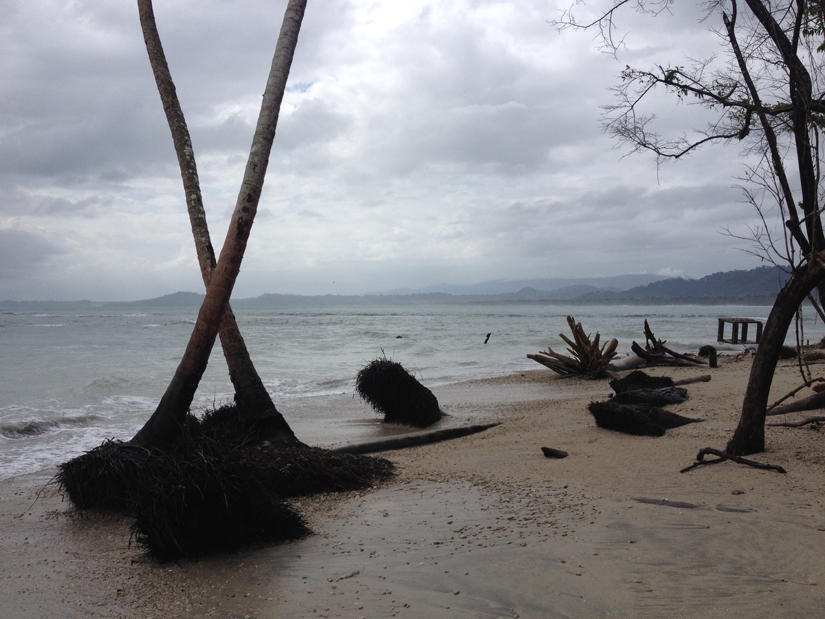 Picture Costa Rica Cahuita 2015-03 7 - French Restaurant Cahuita