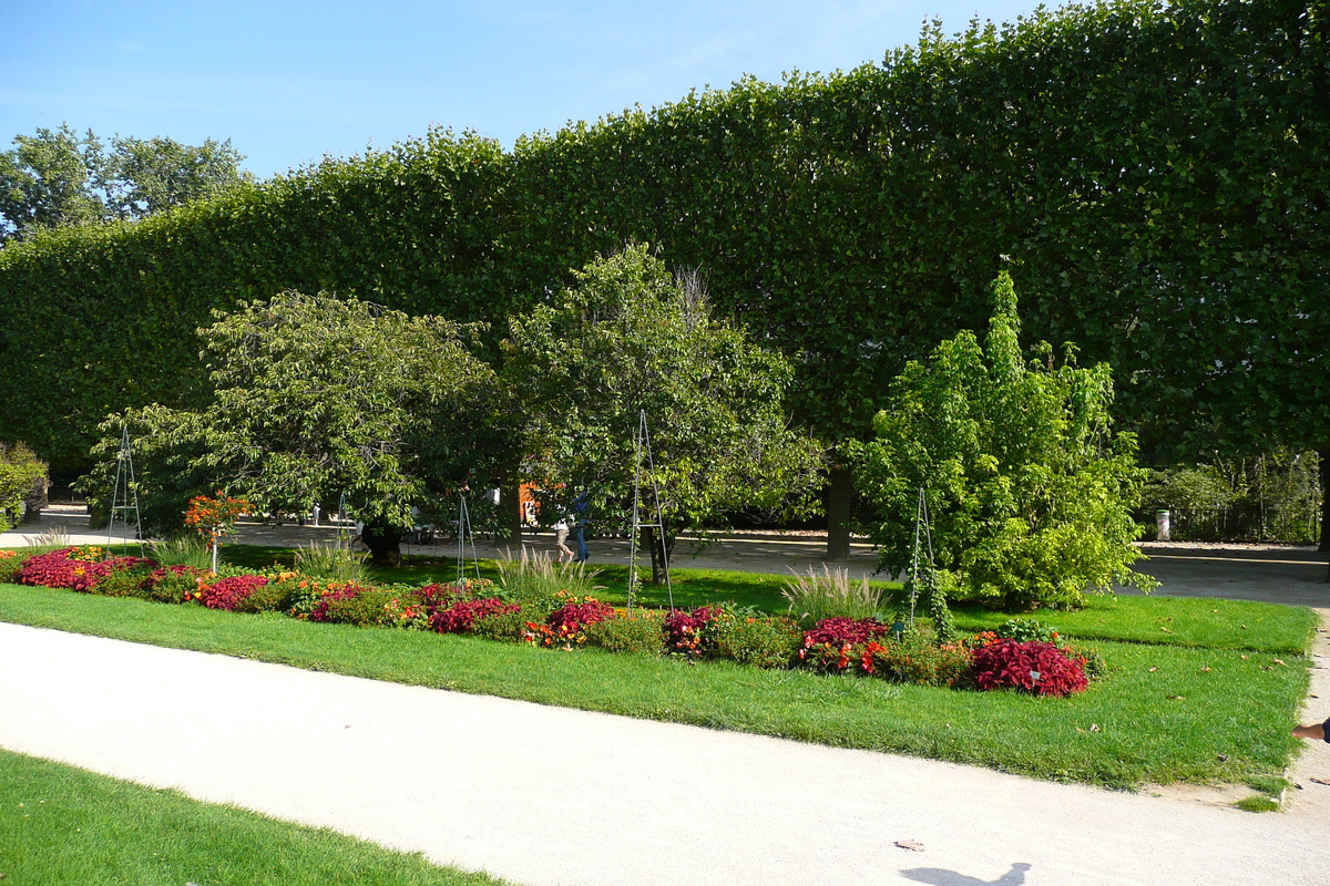 Picture France Paris Jardin des Plantes 2007-08 190 - Streets Jardin des Plantes