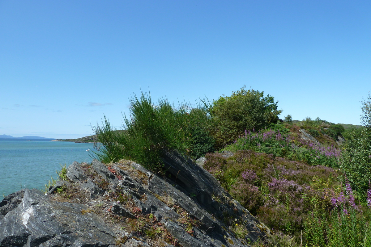 Picture United Kingdom Scotland Arisaig coast 2011-07 97 - Land Arisaig coast