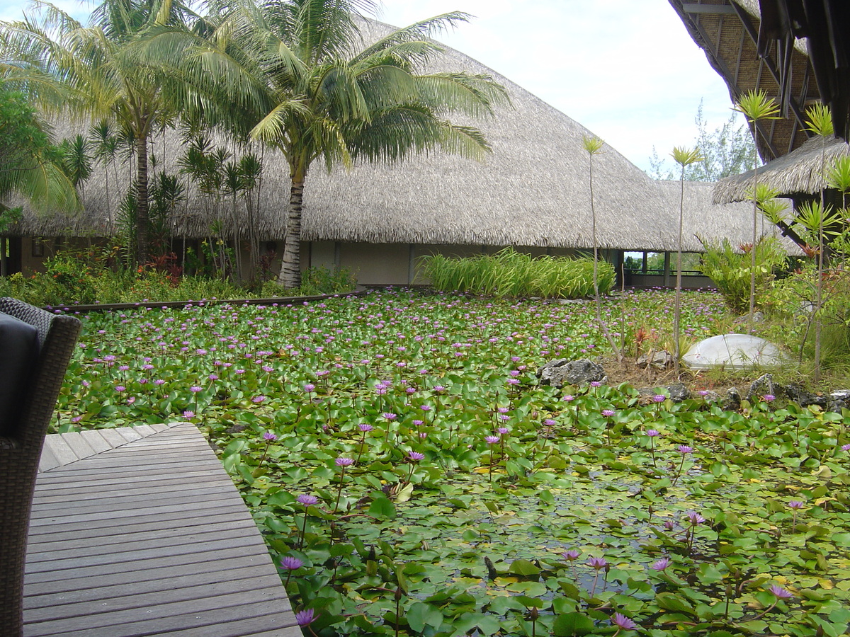 Picture Polynesia Meridien Bora Bora Hotel 2006-04 77 - Rentals Meridien Bora Bora Hotel