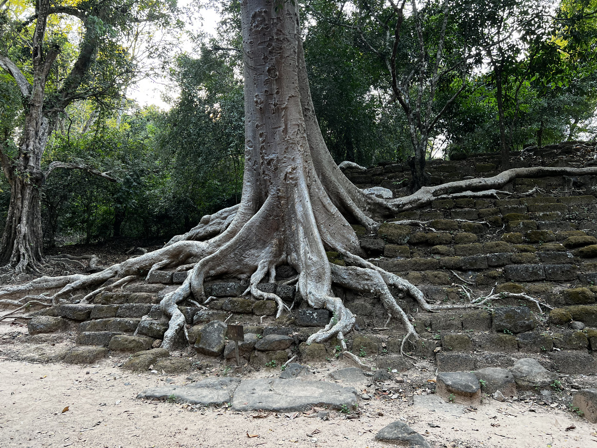 Picture Cambodia Siem Reap Angkor Thom 2023-01 19 - Spring Angkor Thom