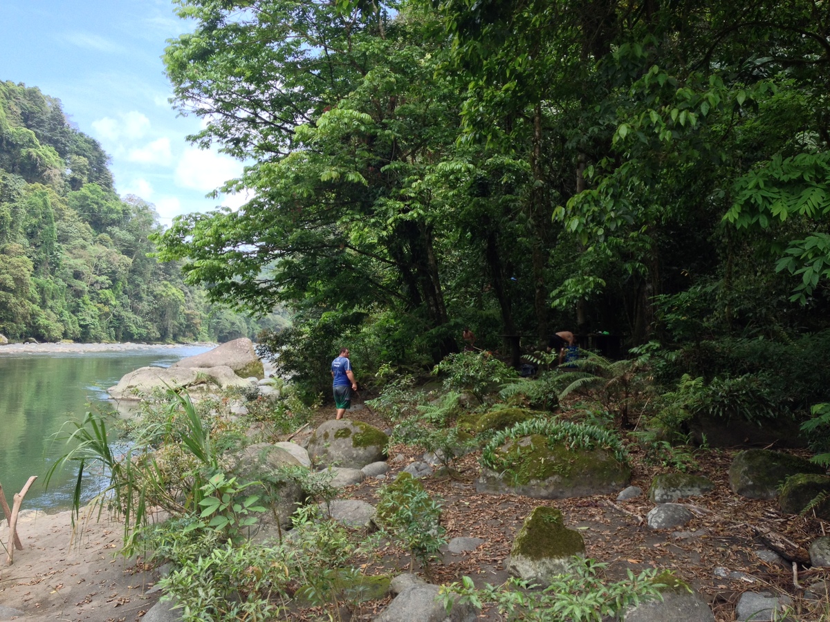 Picture Costa Rica Pacuare River 2015-03 40 - French Restaurant Pacuare River