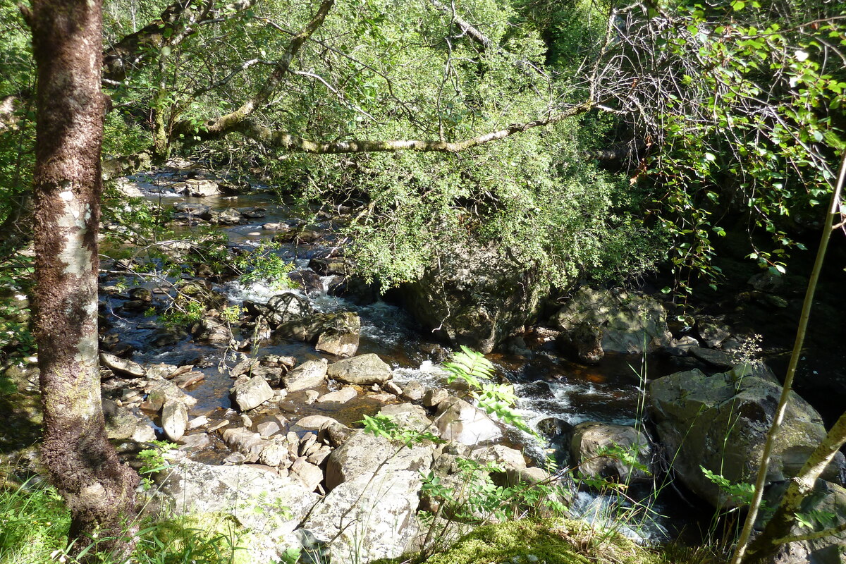 Picture United Kingdom Glen Coe 2011-07 64 - Lake Glen Coe