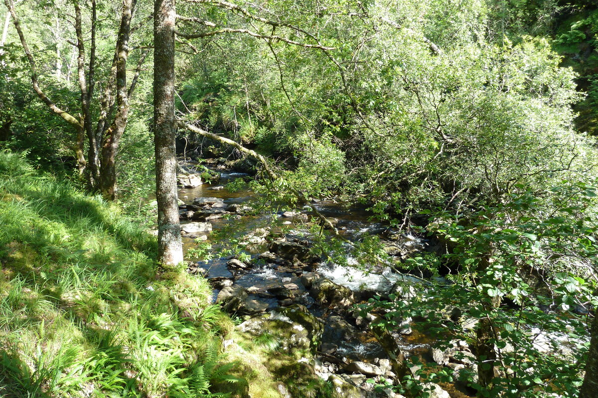 Picture United Kingdom Glen Coe 2011-07 65 - Land Glen Coe