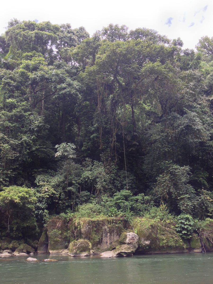 Picture Costa Rica Pacuare River 2015-03 225 - Hotel Pool Pacuare River