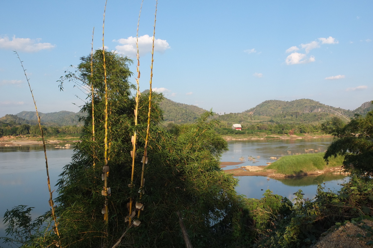 Picture Thailand Mekong river 2012-12 79 - Accomodation Mekong river