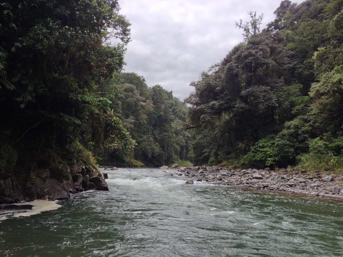 Picture Costa Rica Pacuare River 2015-03 21 - French Restaurant Pacuare River