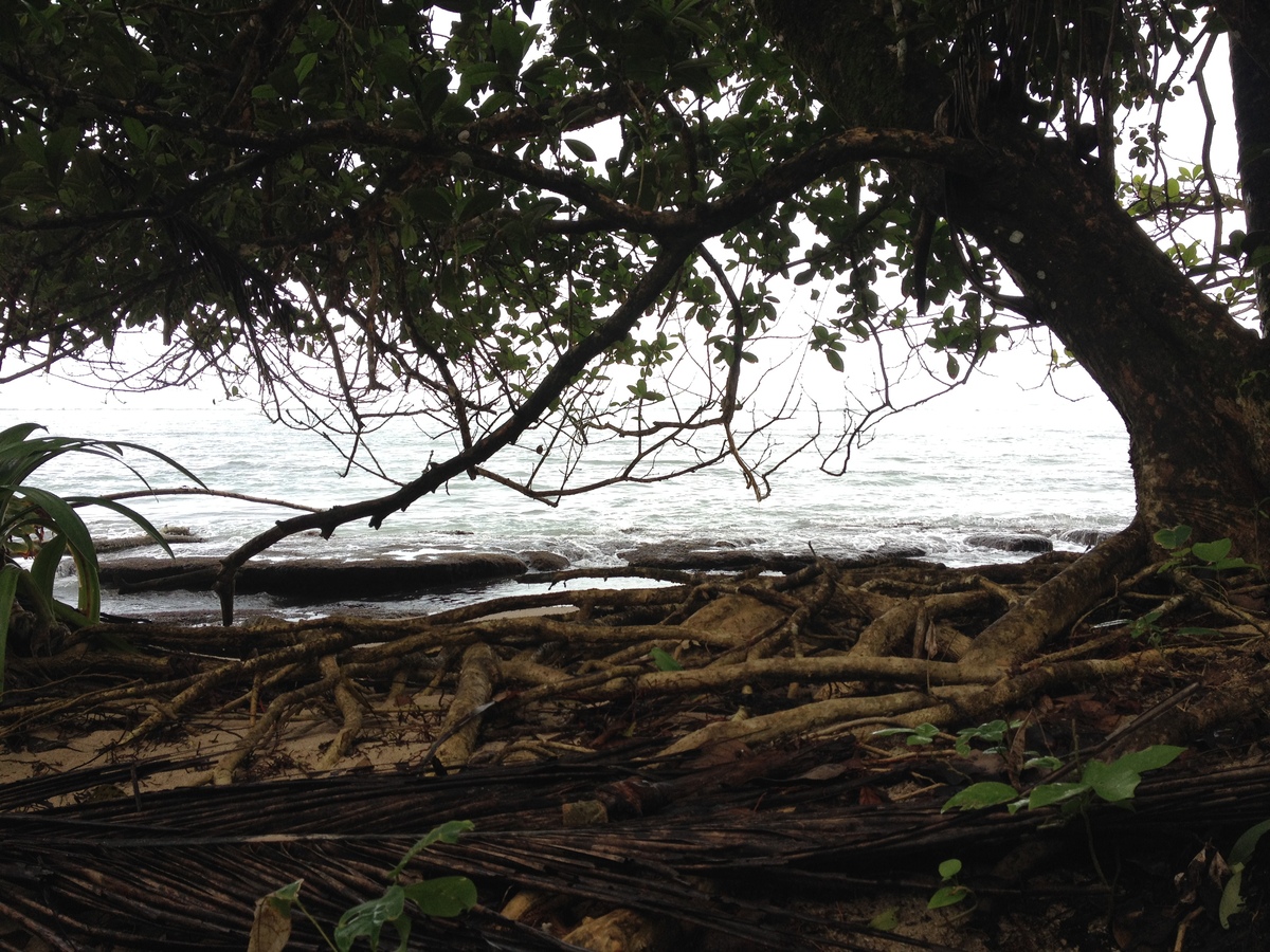 Picture Costa Rica Cahuita 2015-03 27 - Hotel Pools Cahuita